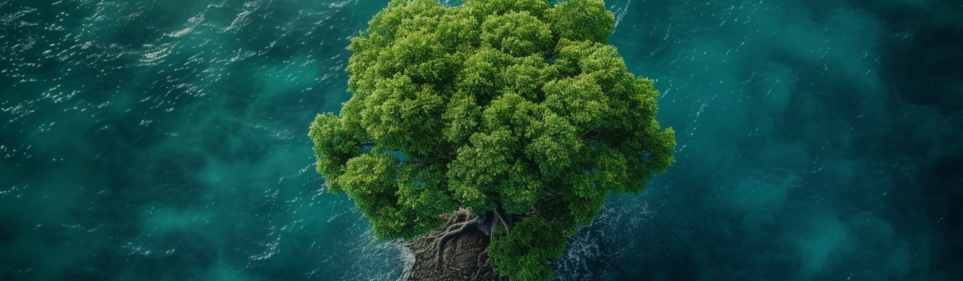 Ningbo Aikang Aluminim Foil Technology Co., Ltd.